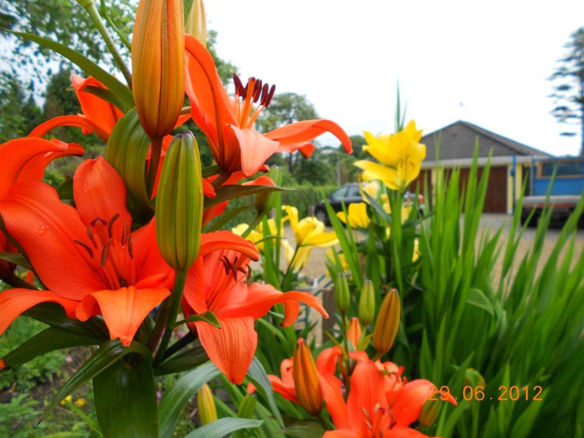 The Yellow House B&B Navan Exterior foto